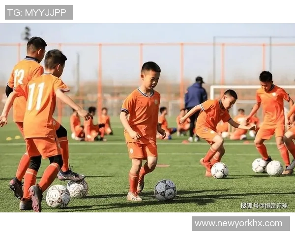 足球青训体系建设与人才输送机制的创新与发展探讨